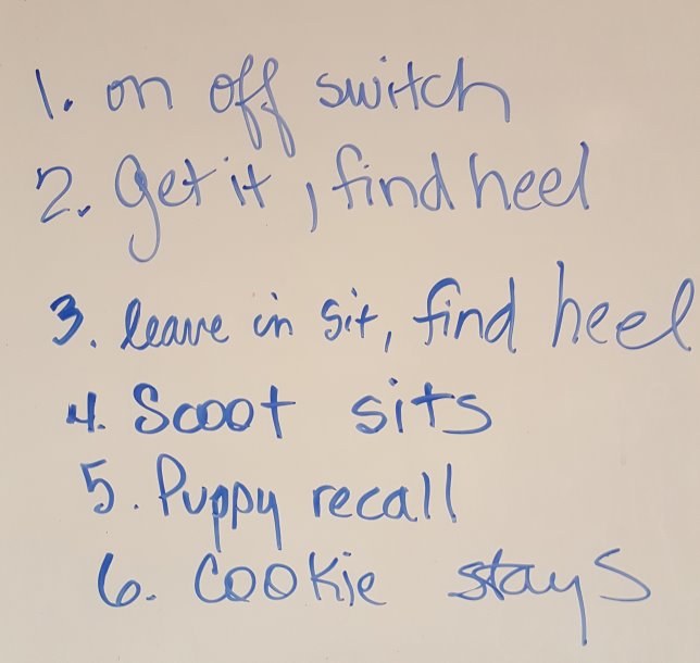 Obedience class #1