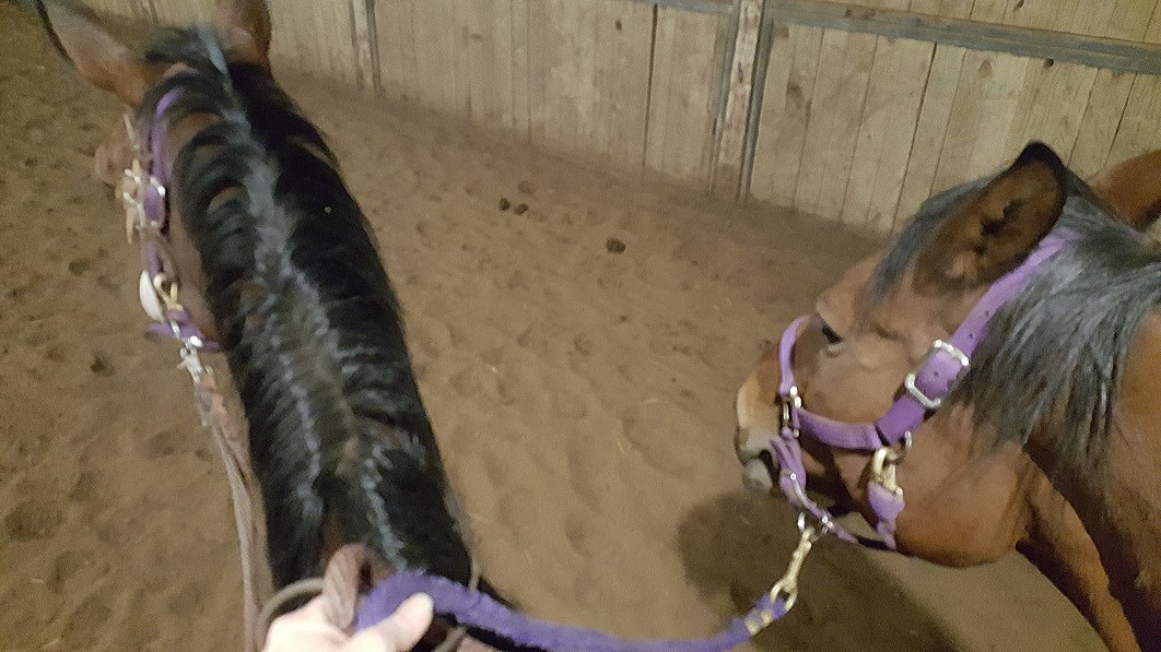 Ponying!